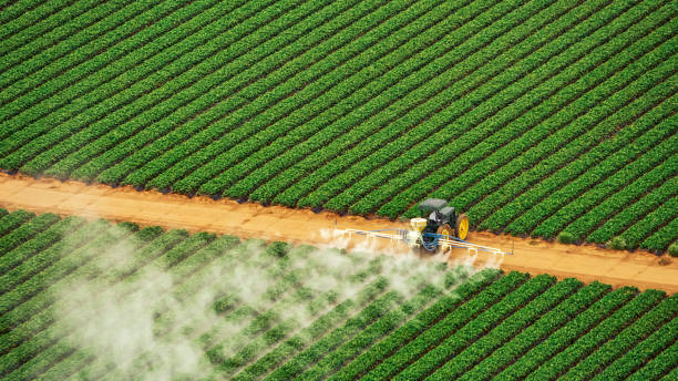 Best Pest Control for Businesses  in Conway, PA