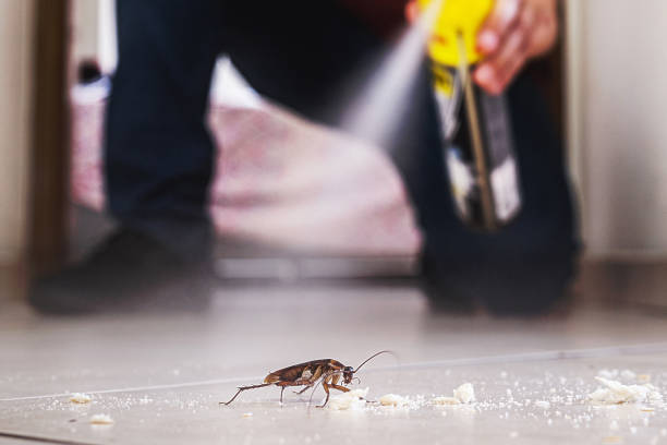 Pest Control Cost in Conway, PA