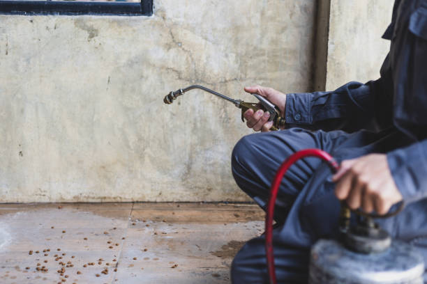 Best Residential Pest Control  in Conway, PA